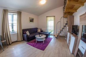 Отель Apartments Nikic  Банёле